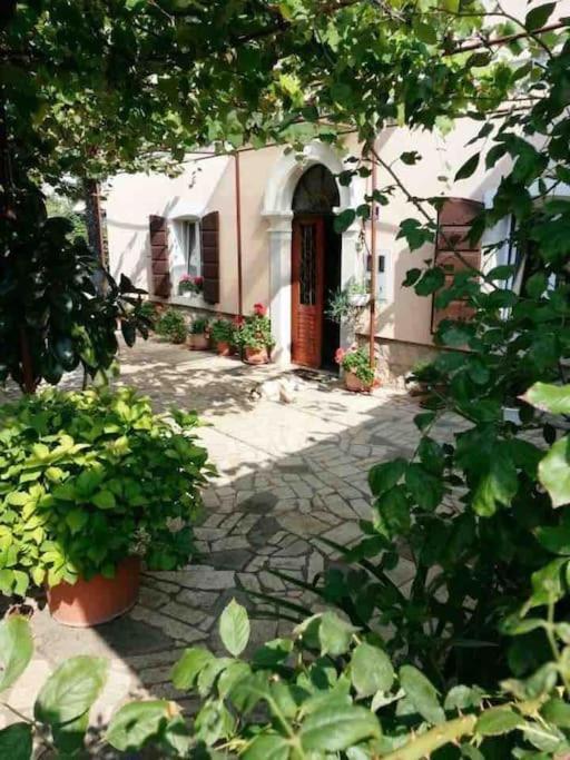 New Renovated Appartment Mauri Πόρετς Εξωτερικό φωτογραφία